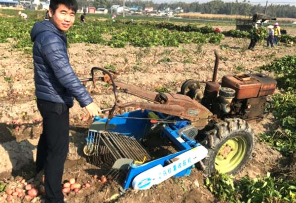 土豆收獲機案例